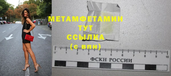 шишки Мегион